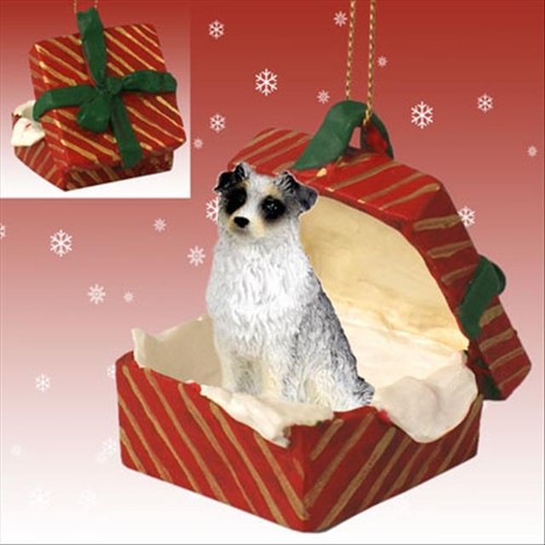 Pastore australiano cane blu - cane,