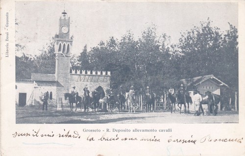 Grosseto deposito - -,