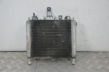 89866 Radiatore Con