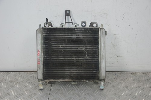 89866 radiatore con - radiatore,