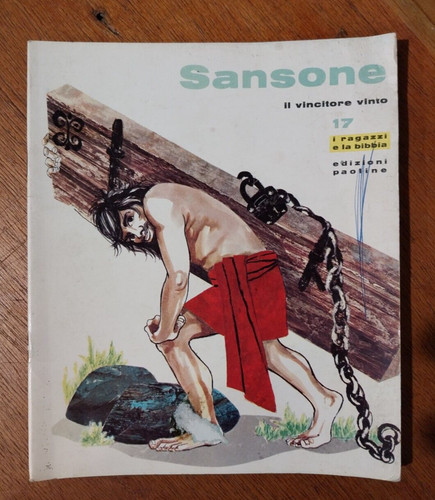 Libro sansone vincitore - il,