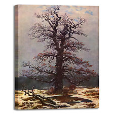 Caspar quercia nella neve design quadro stampa tela dipinto telaio arredo casa