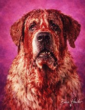 Stampa artistica Boris Howler