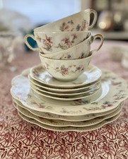 Set Of 4 (9.5 Inch) Limoges