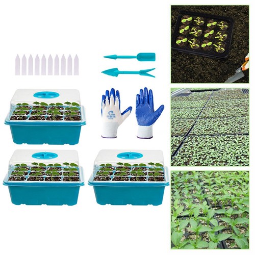 Plant grow box - plant,