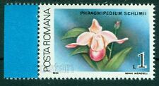 1988 Orchidea, Orchidea - Phragmipedium schlimii / Colombia - Romania,MNH