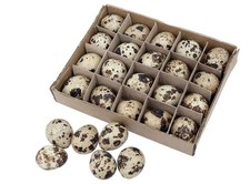 24 PZ uova di quaglia naturali