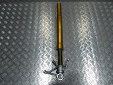 Gruppo gamba forcella destra