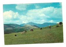 ZERI - Massa - Passo del