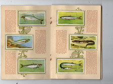 ALBUM FIGURINE ANNI 30