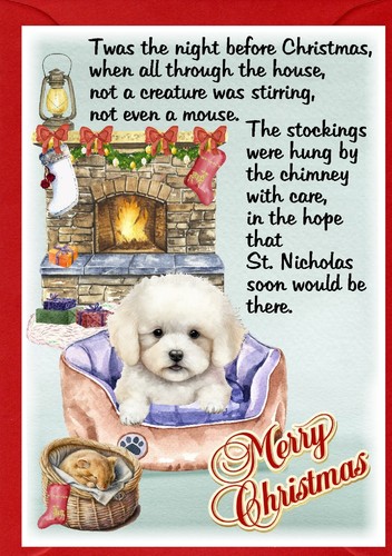 Biglietto natale bichon - biglietto, di