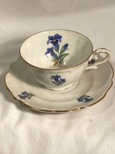 Bareuther Bavaria Cup & Saucer