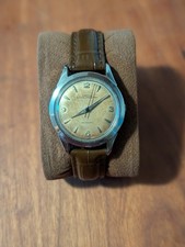 Croton Nivada Genchen