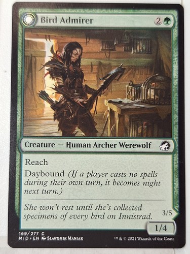 Bird admirer innistrad - bird,