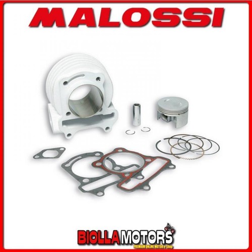 3113243 gruppo termico - termico, malossi