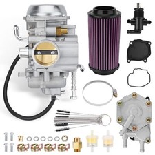 Carburetor w/Fuel Pump & Air
