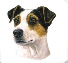 Borsa jack russell terrier - jack,