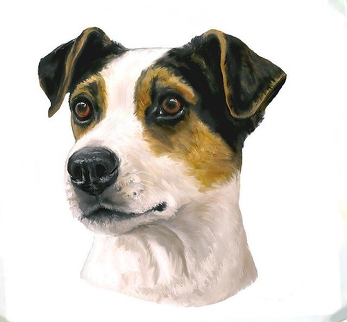 Borsa jack russell - jack,