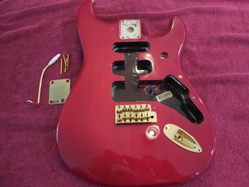 Corpo lettore fender - lettore,