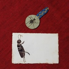 GIORNALINO DELLA DOMENICA