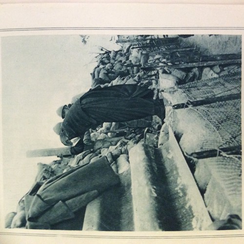 M1e ephemera ww1 picture - , 1917