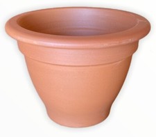 Vaso terracotta per piante da