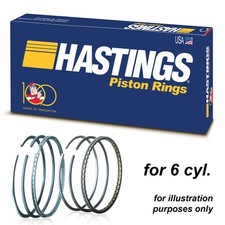 Hastings piston rings set for