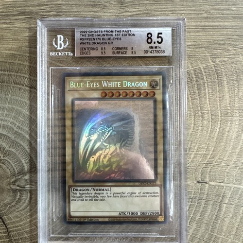 Blue eyes white - yu-gi-oh!,