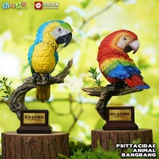 Animal BangBang ARA MACAO e