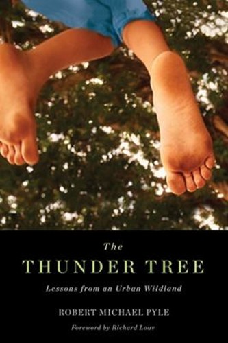 Thunder tree lessons - lessons, an