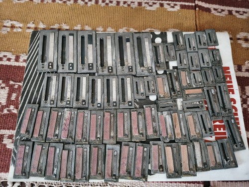 Canne fisarmonica diatonica