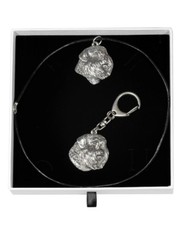 Bovaro delle Fiandre - set con