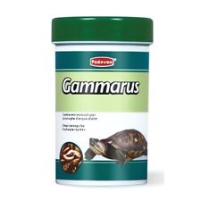 GAMMARUS PER TARTARUGHE