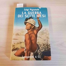 LA GUERRA DEI SETTE MESI -