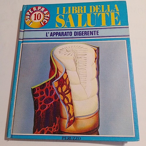 Apparato digerente i - -,