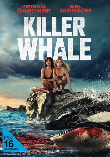 Killer whale virginia - whale,