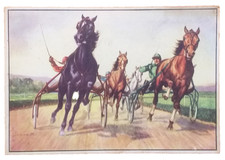 Equitazione ippica ippodromo Villa Glori Roma driver sui sulky - ill Ciavatti ?