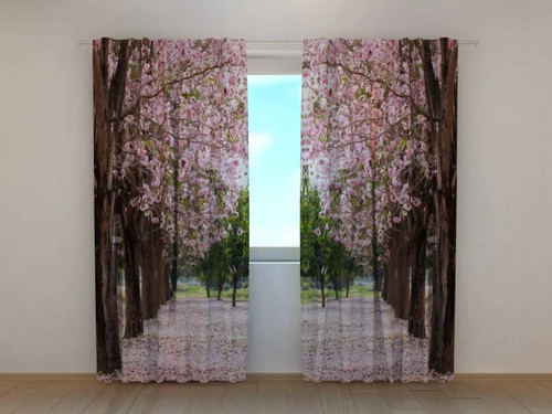 Tende alberi fiore - alberi, lungo