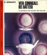 Vita coniugale dei batteri. La