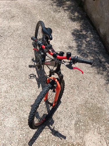 Bicicletta ragazzo
