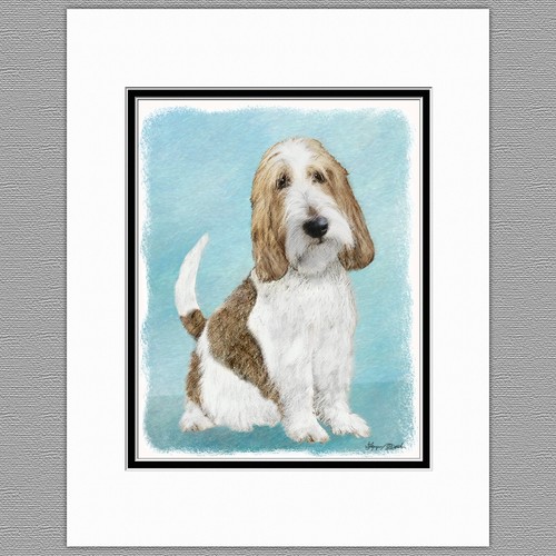 Grand basset griffon vendeen - grand,