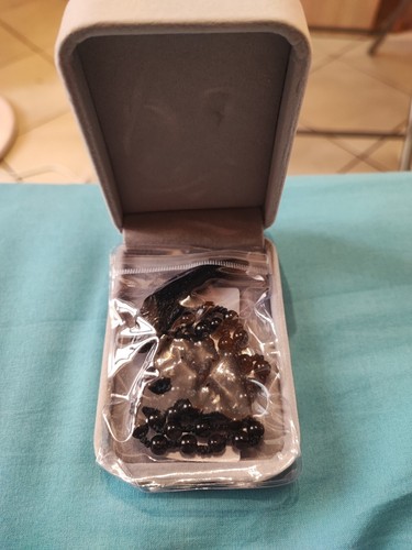 100 collana dente lupo - dente, di