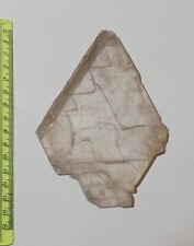 GESSO SELENITICO Cristallo Selenite MINERALE 13 cm  GYPSUM SELENITE CRYSTAL!