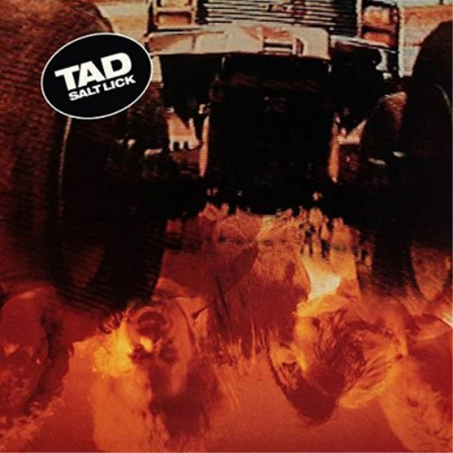 Tad salt lick - salt, (cd)