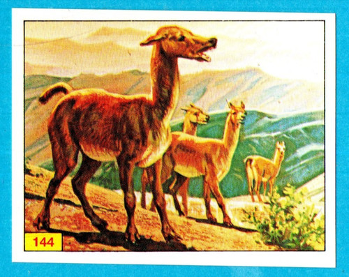 DINOSAURS/ANIMALI