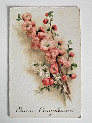 Cartolina vintage non - cartolina,