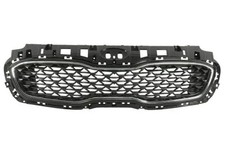 Griglia radiatore nero