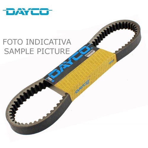 Cinghia pirelli dayco - -,