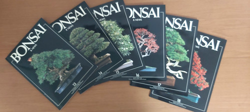 Bonsai news anno - &, 3