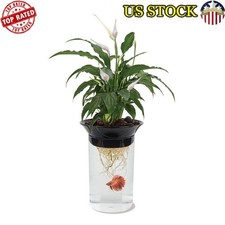 Acquaponica fish tank fioriera - acquaponica,